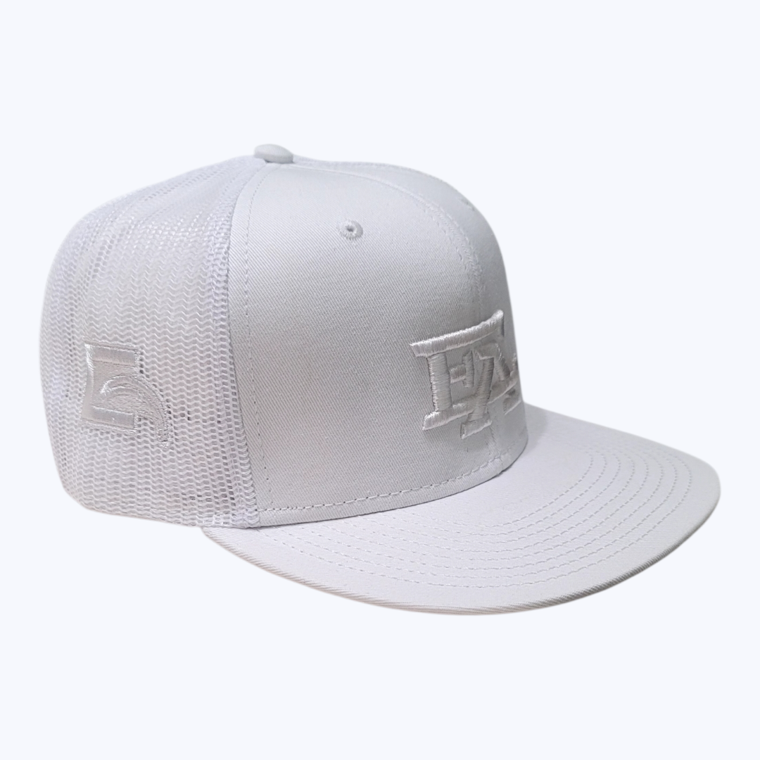 ESHU Apparel EA 3D Embroidered Snapbacks - 6 Panel, Classic Fit, Premium Fabric