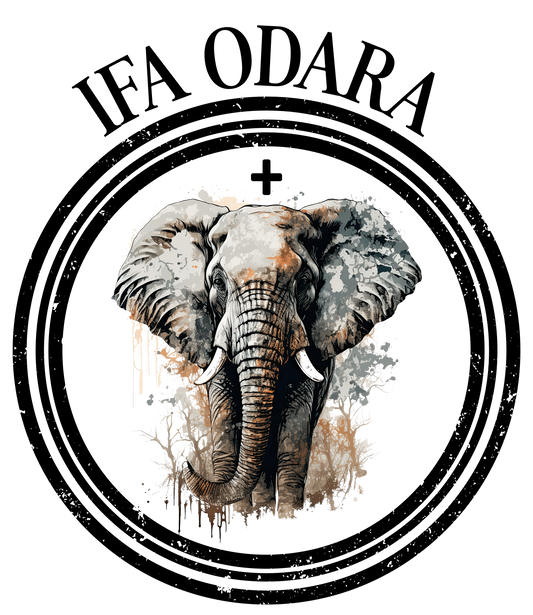 Eshu® Apparel – IFA ODARA - ODDUN DE IFA COLLECTION - Heavyweight Tee (White)