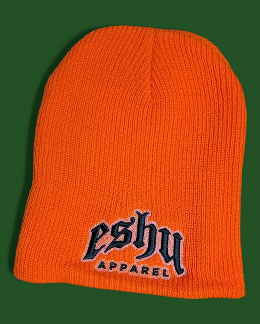Eshu Apparel | 3D Embroidered Beanies – Miami Hurricane Football Team colors