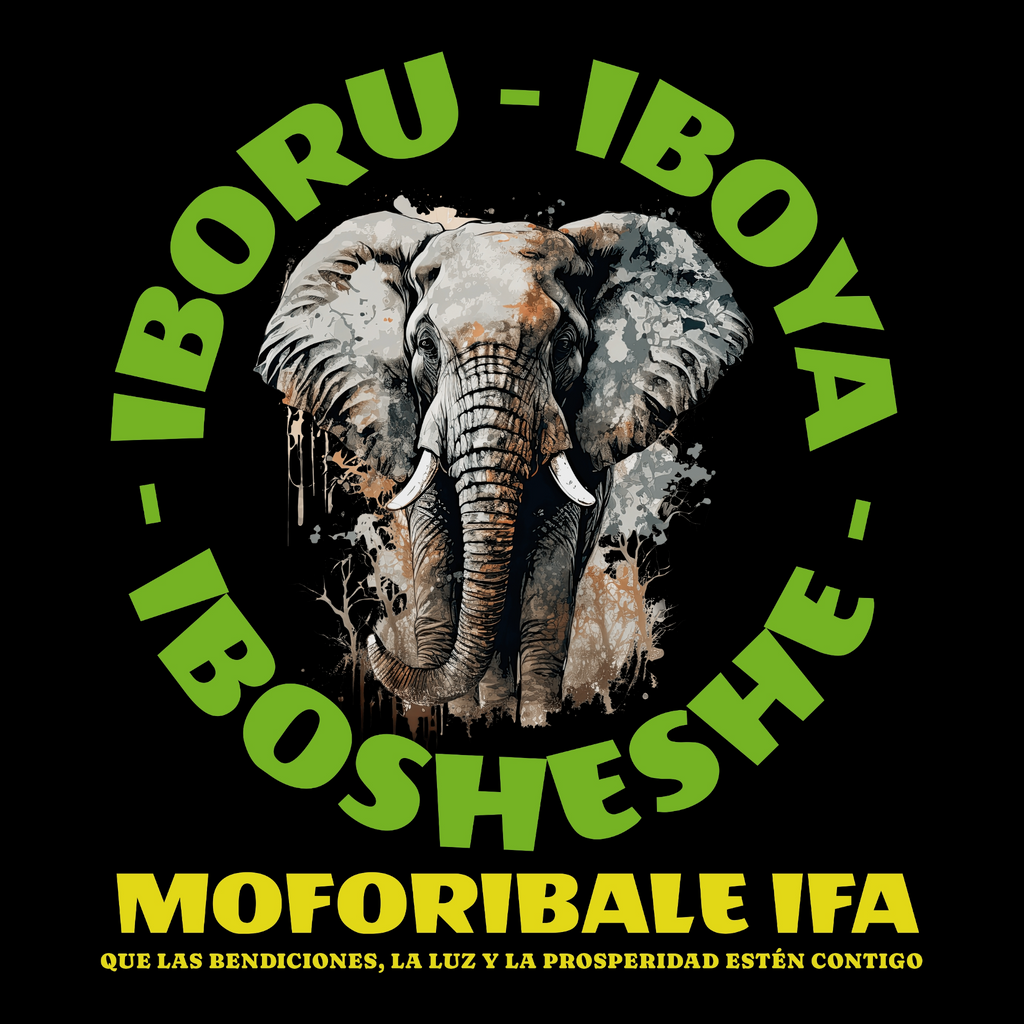 SPANISH - IBORU IBOYA IBOSHESHE – MOFORIBALE IFA | Eshu® Apparel Heavyweight T-Shirt | SP