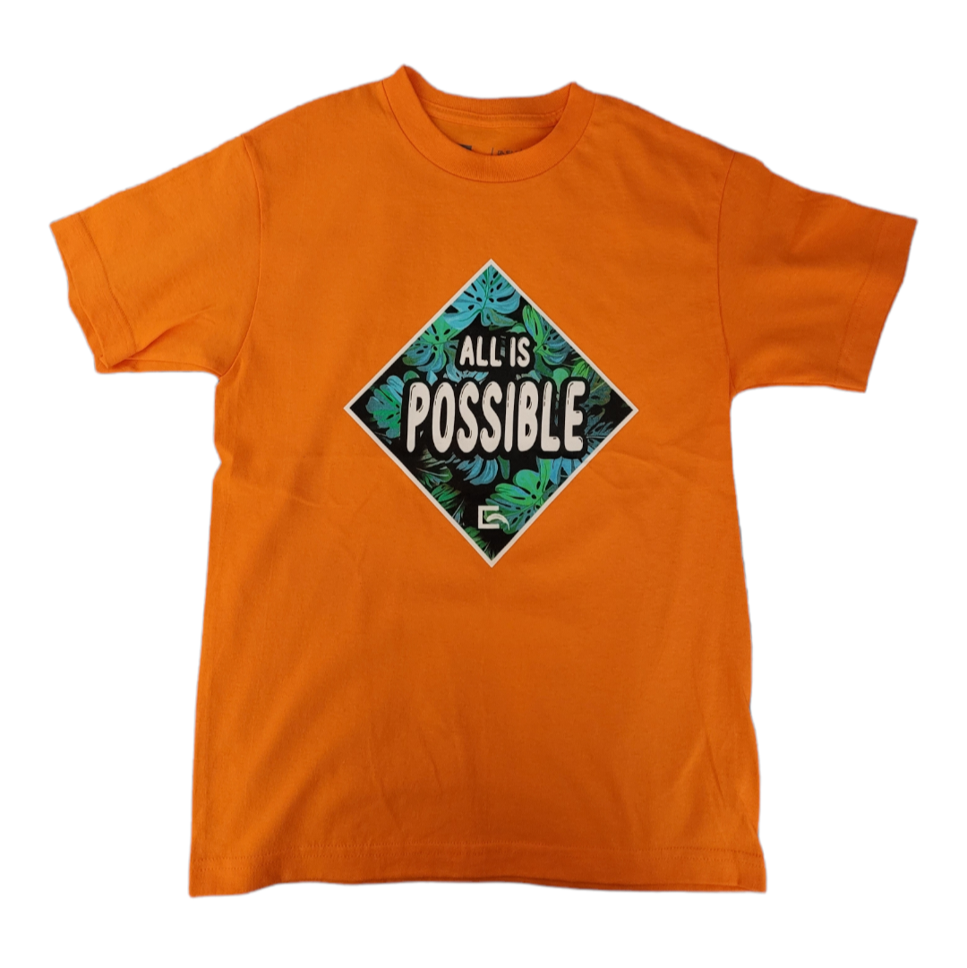 ALL IS POSSIBLE | ESHU Collection | T-Shirts | 100% Cotton