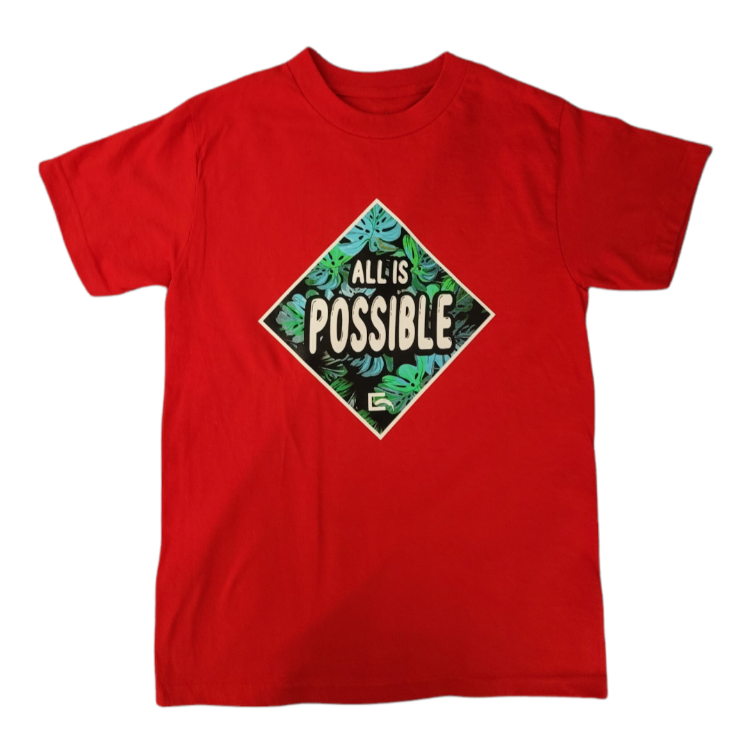 ALL IS POSSIBLE | ESHU Collection | T-Shirts | 100% Cotton